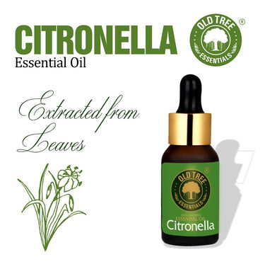 Old Tree Citronella Essential Oil (15ml) - for Skin, Hair Care and Aromatherapy - Pure, Natural and Undiluted Perfume Oil with Glass Dropper for Home Fragrance and Candle Making